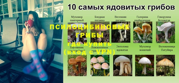 a pvp Богданович