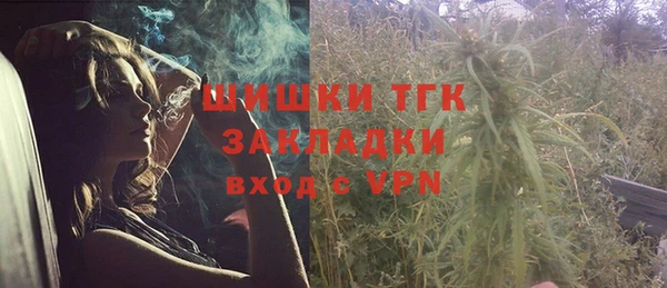 тгк Богородицк
