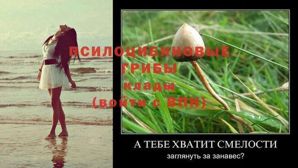 a pvp Богданович
