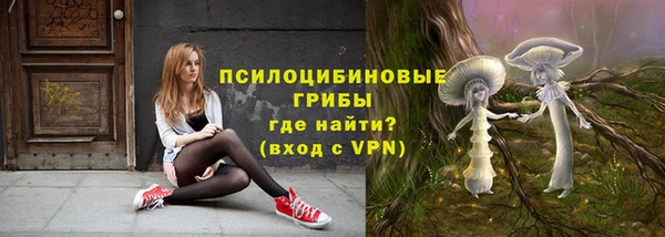 тгк Богородицк