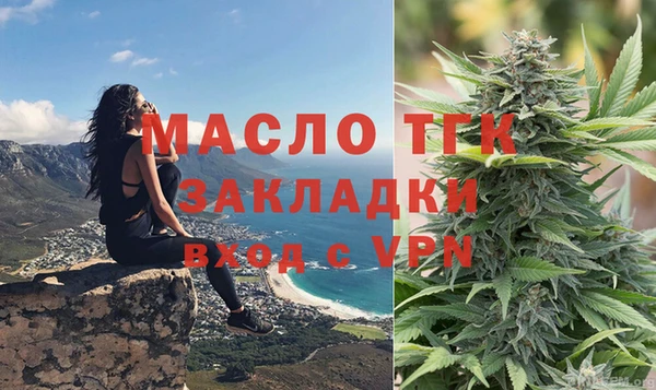 тгк Богородицк