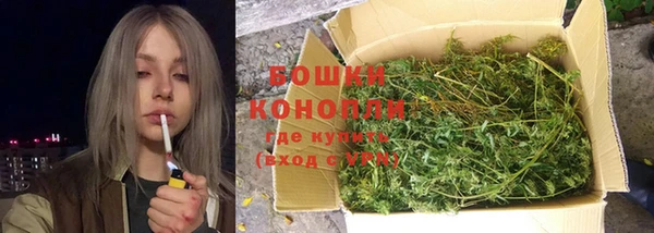 тгк Богородицк