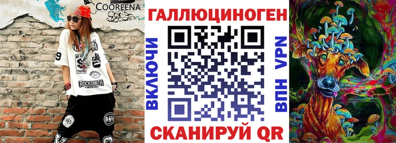 Галлюциногенные грибы Psilocybine cubensis  Моршанск 